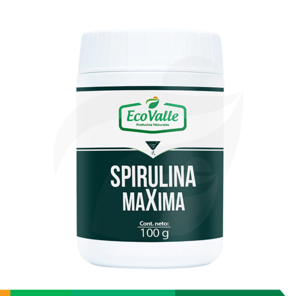 Spirulina maxima en polvo
